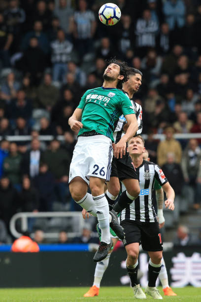 依靠其丰富 依靠其丰富